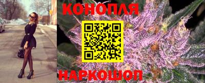 дмт Малгобек
