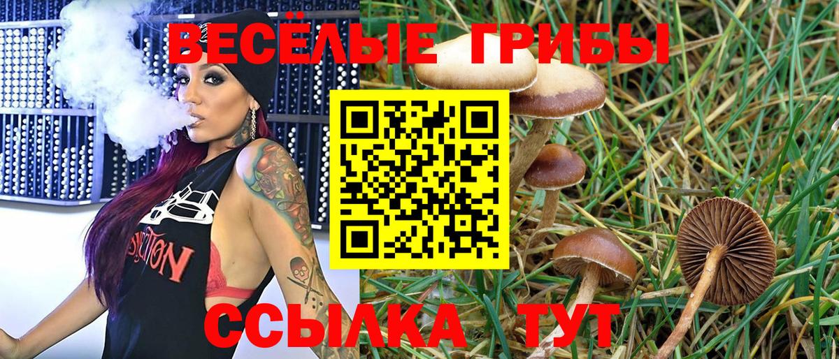 Горячий Ключ  что такое   Псилоцибиновые грибы GOLDEN TEACHER  Вход с VPN  Псилоцибиновые грибы Magic Shrooms 